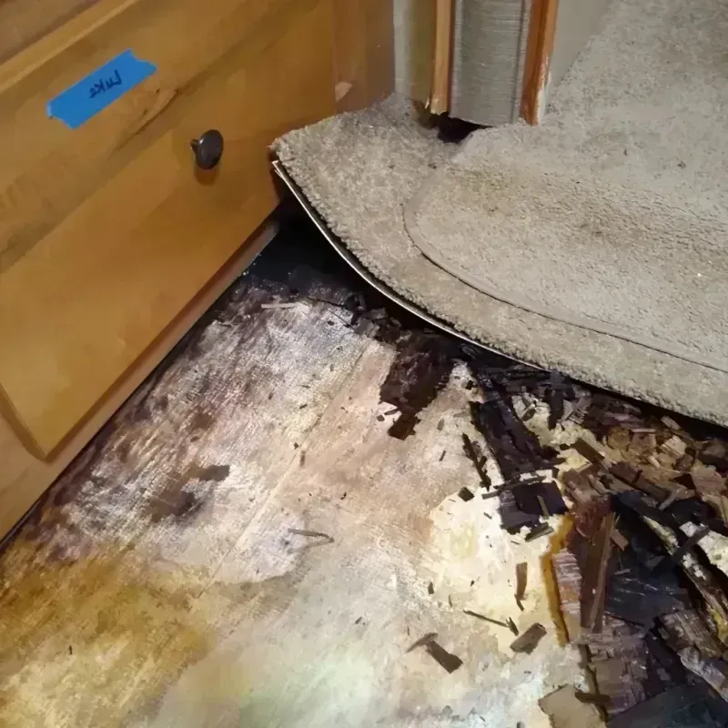 Best Wood Floor Water Damage Service in Temple Hills, MD